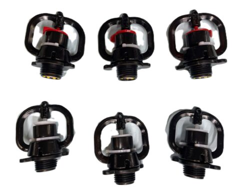 z6028671916569 e1d9b7ce57ee977808a97fa278ae93c5